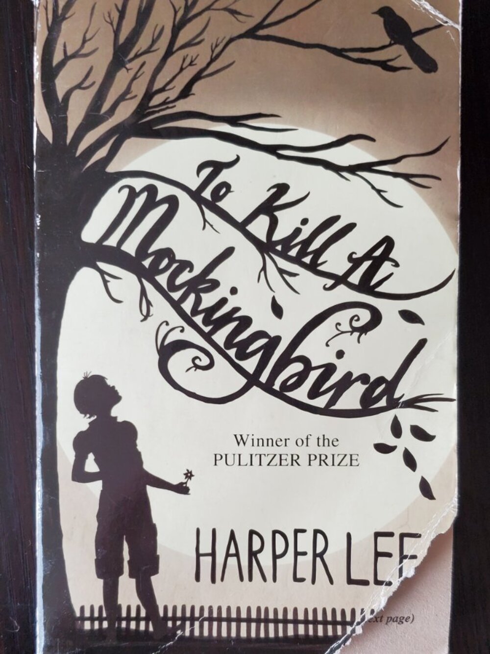 To Kill a Mockingbird by Harper Lee (2010, Paperback) Book